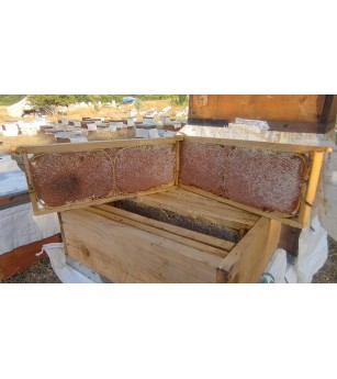 (3.100 Kg) Karakovan Balı 